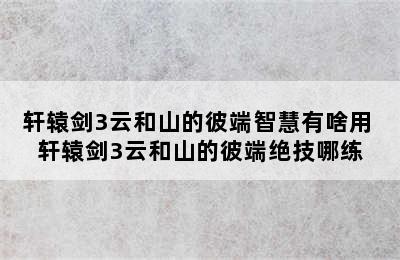 轩辕剑3云和山的彼端智慧有啥用 轩辕剑3云和山的彼端绝技哪练